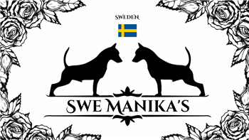 SWE MANIKA'S