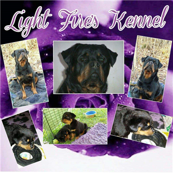 Light Fire's kennel