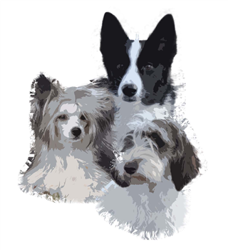 Wildeers kennel