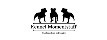 Momentstaff